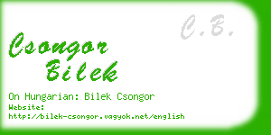 csongor bilek business card